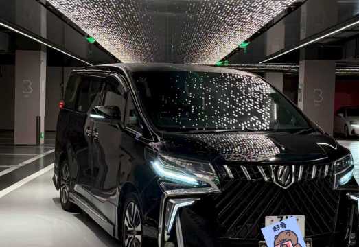 Private charter service for Guangdong, Hong Kong and Macau, direct cross-border private charter with fast customs clearance, 7-seater luxury...