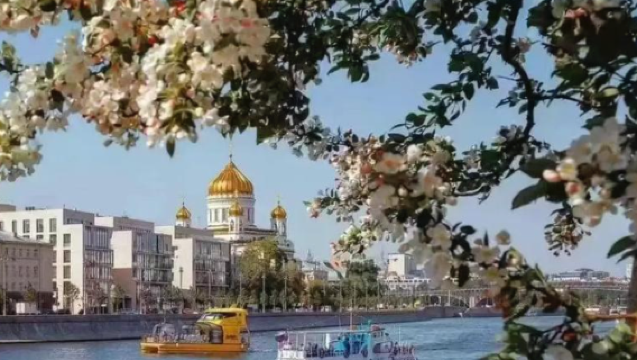 俄羅斯聖彼得堡來回：海軍島喀琅施塔得+彼得霍夫宮一日遊