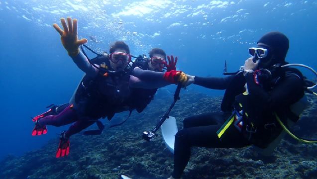 Freediving/snorkeling experience at the Blue Cave in Onna, Okinawa (2 hr) - Okinawa blue cave diving, English/Japanese instructors, boat departure from port