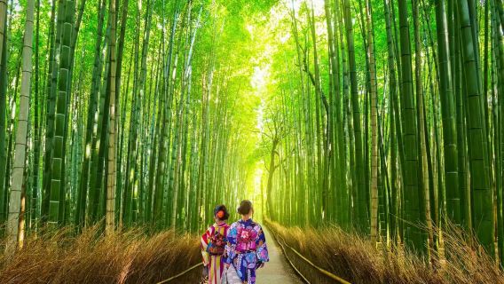 三千院+京都嵐山+嵯峨野竹林小徑+足湯一日遊【集合點接駁】