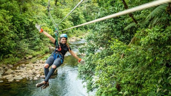 ブラウリオ・カリージョ：熱帯雨林キャノピーアドベンチャー