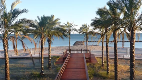 Rizhao day tour to Coastal National Forest Park, Renjiatai, Taohua Island and Sunshine Coast with private car