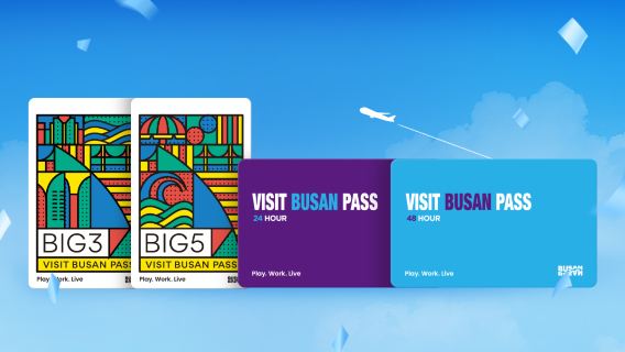 VISIT BUSAN PASS