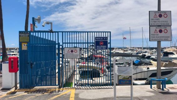 Puerto Colón: Delfin- und Walbeobachtung mit Speedboot