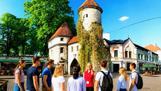 Tallinn Old Town Walking Tour: Medieval to Digital Estonia