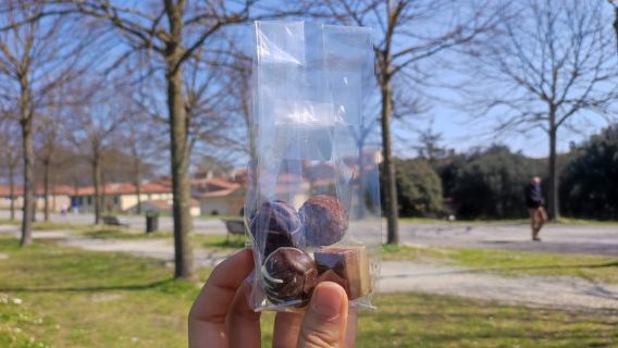 Lucca: Guided Food Walking Tour with Tastings