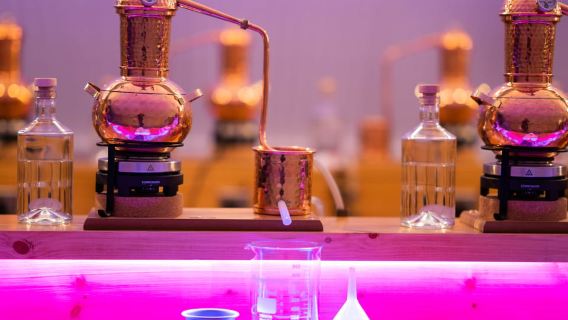 Aberdeen: Gin Distillery Discovery Tour with Welcome Drink