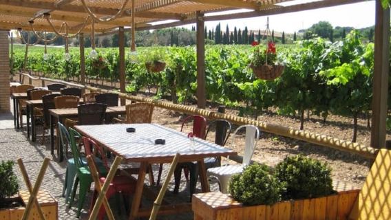 Barcelona: Montserrat with Winery Visit and Farmhouse Lunch