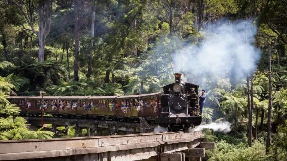Melbourne: Puffing Billy Railway and Phillip Island 1-day tour