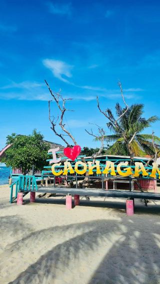 Depart from Cebu: Caohagan Island + Olango snorkeling 1-day tour | Transfer & BBQ lunch included