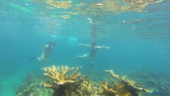 Panama CityExperiences