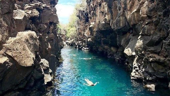Tour de medio día por la bahía en la isla de Santa Cruz