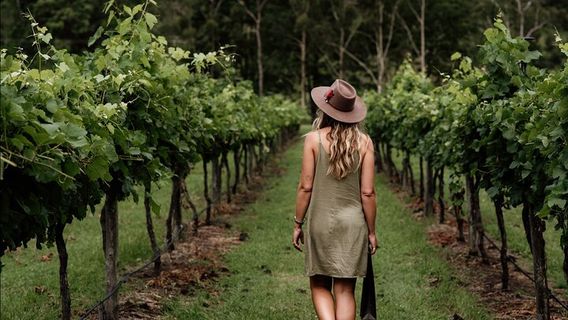 Mount TamborineTours