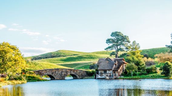 紐西蘭奧克蘭+哈比村+懷托摩螢火蟲洞一日遊