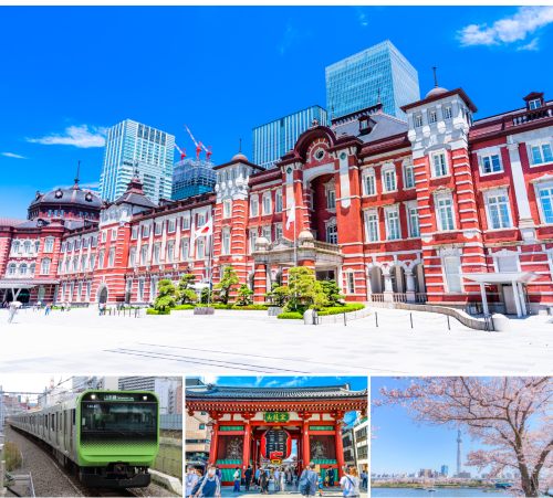 Welcome Suica（成田機場東京都市地區周遊券）28日
