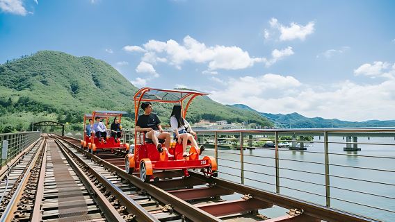 冬季限定| 南怡島 X 江村 X 夜間五色星光庭園晨靜樹木園
