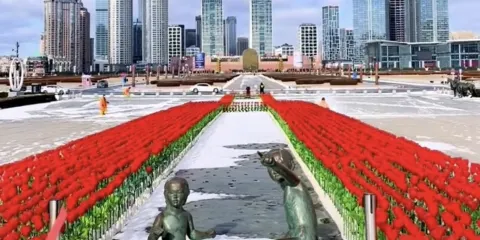 大連棒棰島+都市全景深度一日遊;高端精品團;上門接送_小團