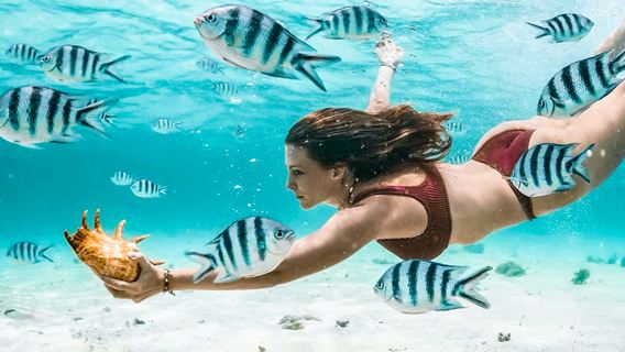 Partenza da Krabi/Lanta: tour di un giorno - Punti di snorkeling paragonabili alle isole Similan