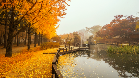 SeoulTours