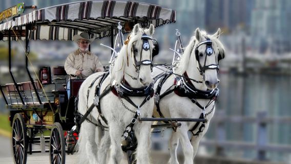 แวนคูเวอร์: ทัวร์ชมสวนสแตนลีย์ด้วยรถม้า