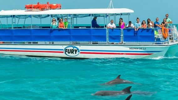 Key West: Eco Tour per l'avvistamento dei delfini