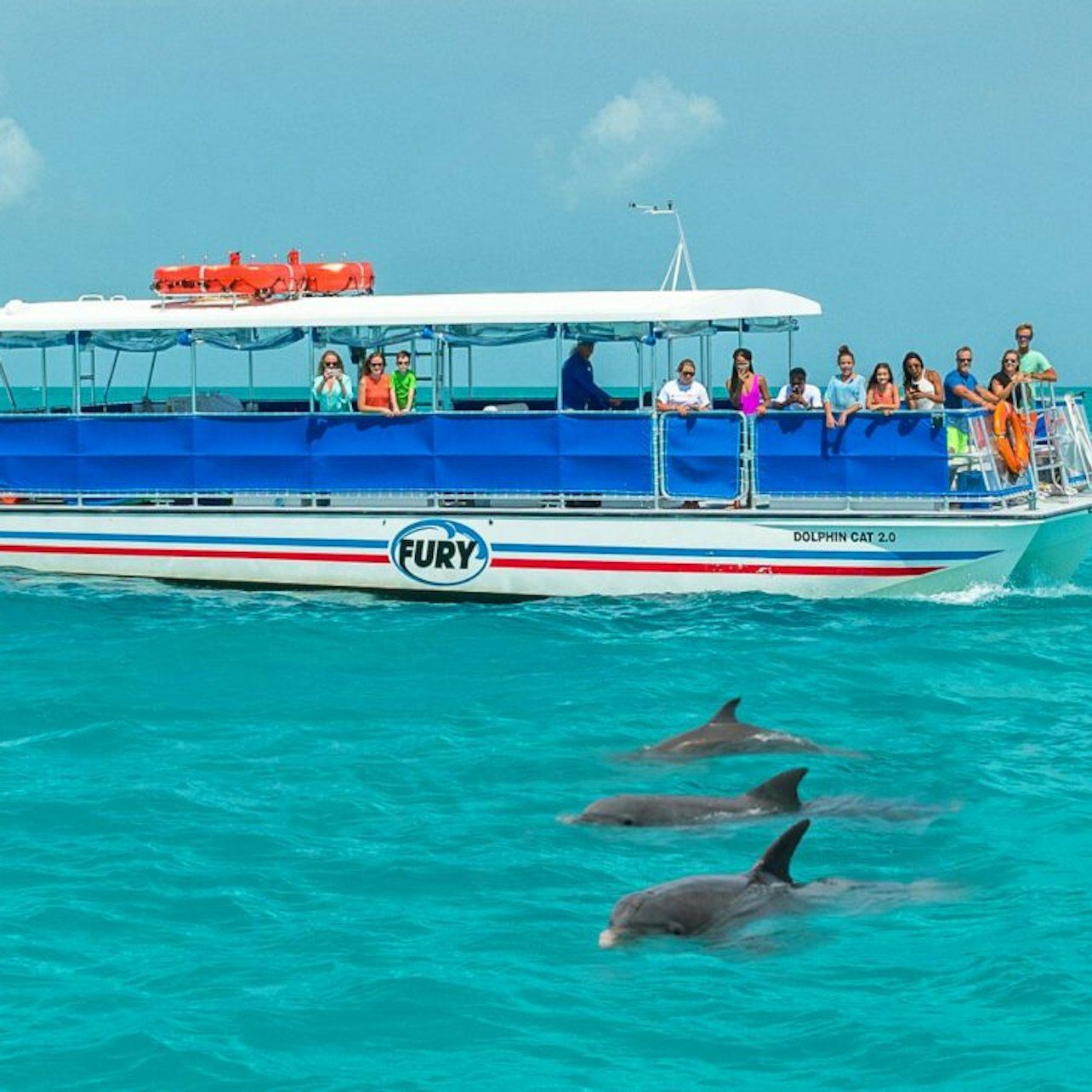 Cayo Hueso: Eco Tour de Avistamiento de Delfines