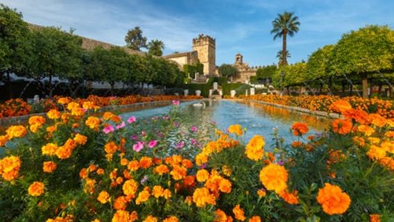 Cordoba