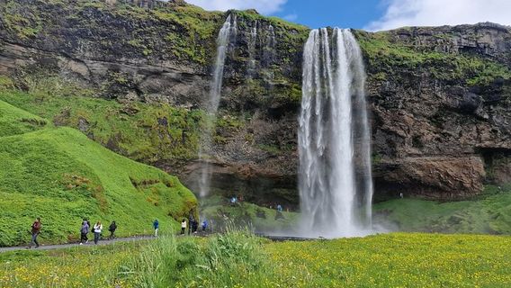 ReykjavikTours