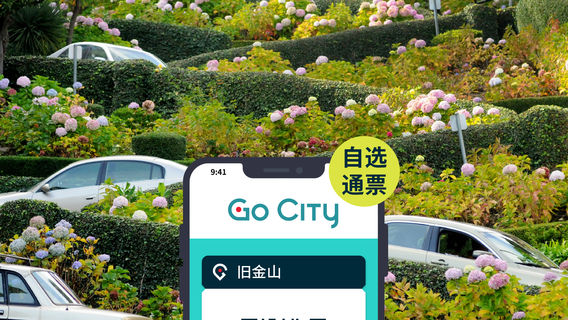 San FranciscoTravel Services