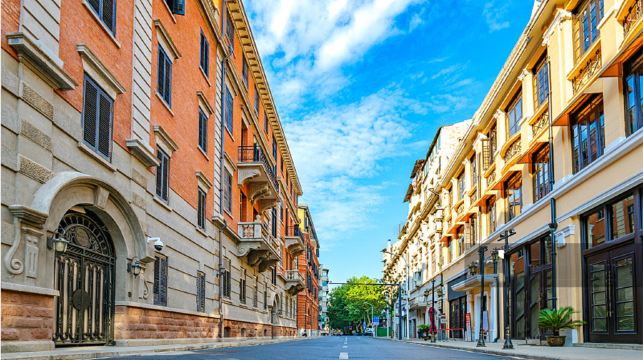 黎黃陂路+古德寺+武漢大學+黃鶴樓一日遊【私家團】