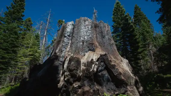 Sequoia and Kings Canyon National Park self-guided driving audio tour