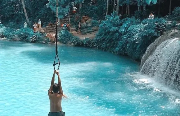 錫基霍爾島一日遊：魔法老樹&藤條跳水&教堂&海灘