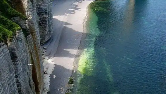 法國巴黎莫內花園+象鼻山一日遊/夏日印象之境-可拼團