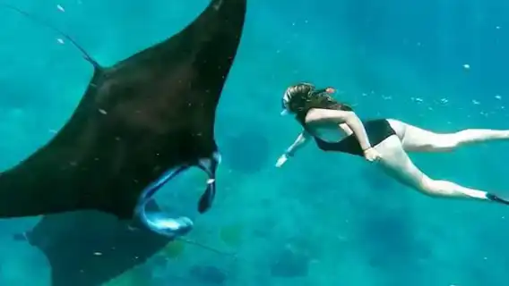 巴里島出發科莫多3天2夜之旅，探索UNESCO世界遺產巨蜥棲地