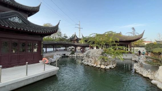 Shandong Shouguang Museum + Molong Academy + Chinese Peony Garden 1-day tour private charter Tour (English Available)