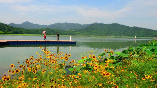 Pakej Pelancongan Sehari di Ningbo, Zhejiang|Muzium Tianyi Ge + Tasik Dongqian + Bund Lama + Jalan Lama Nantang (boleh disesuaikan)