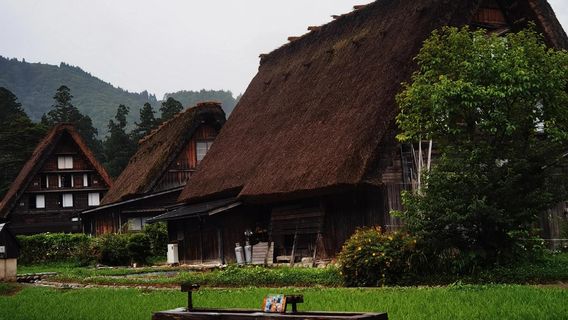 高山村日遊