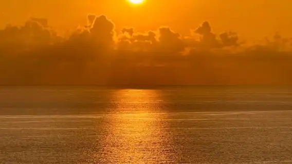 布吉島普通話一日遊：卡倫咖啡廳觀景·山頂大佛·布吉鎮·神仙半島