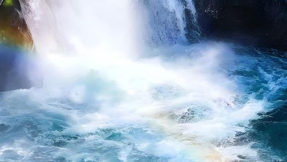 日本東京+伊豆+熱海海濱公園一日遊/行程可調-可定制多日