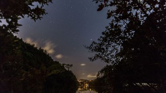 Tour dell'ecosanctuario al crepuscolo di Zealandia