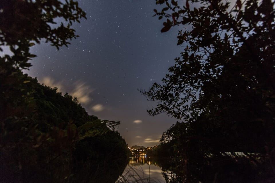 Zealandia Twilight Ecosanctuary Tour