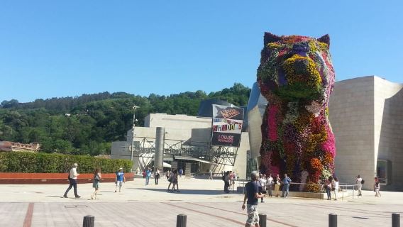 Bilbao: Guggenheim Bilbao museum Ticket included in spanish