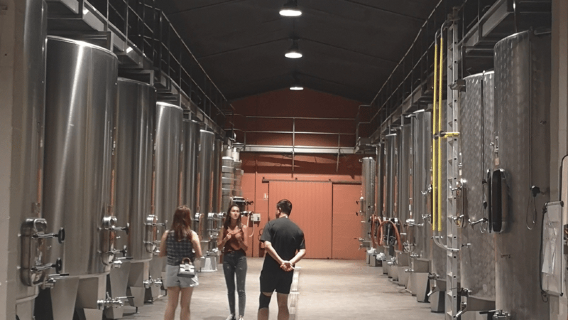 Circuit des vins du Médoc au départ de Bordeaux : 2 domaines et 6 vins