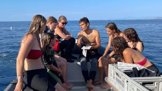 Calvi : Salida de snorkel en barco con borde de reserva