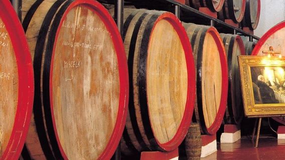 Marsala: Tham quan nhà máy rượu vang với thử rượu vang và sản phẩm địa phương