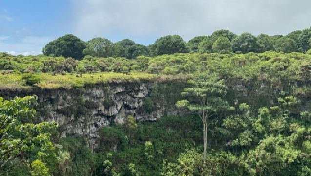 Galapagos GPS Luchthaventransfers en hoogtepunten Tours