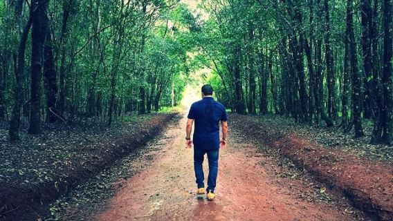 Nairobi : sentier nature et randonnée dans la forêt de Karura