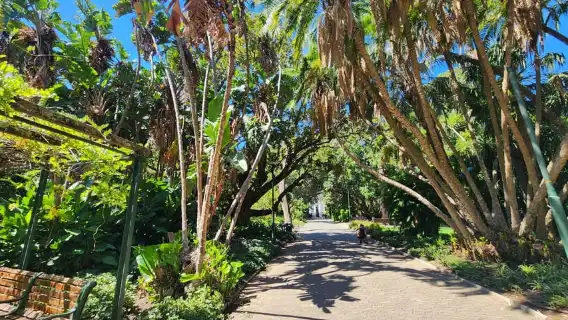 Cape Town: Bo-kaap table mountain Champagne Sunset Cruise