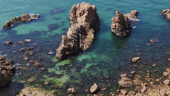 Cascais: Atlantic Coastline Wild Hike