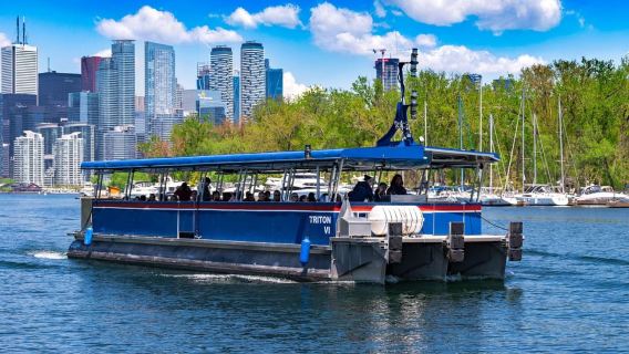 Toronto: crucero turístico por el puerto y las islas